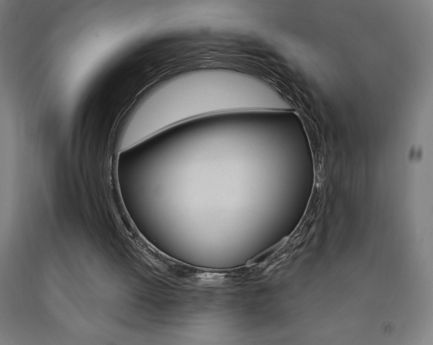 X0000093140052200709261107