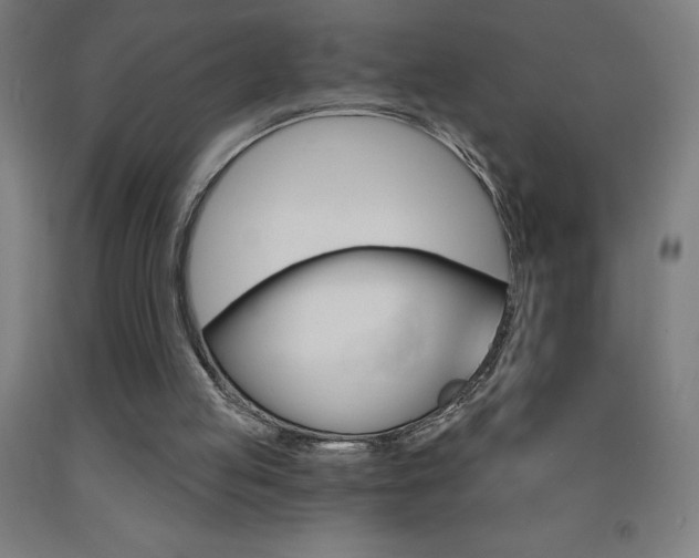 X0000093140053200709261107