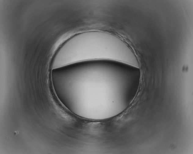 X0000093140054200709261107