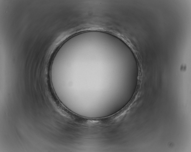 X0000093140055200709261107