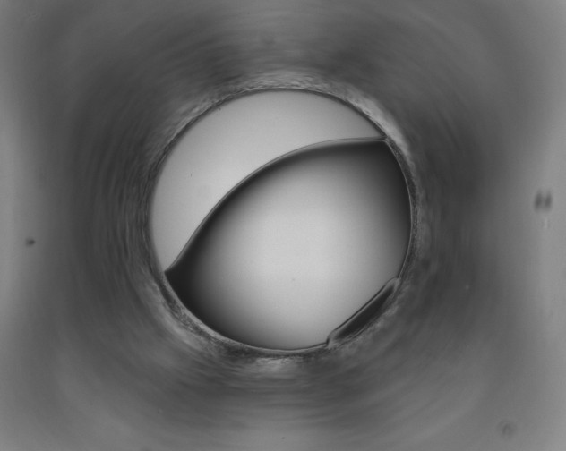 X0000093140057200709261107