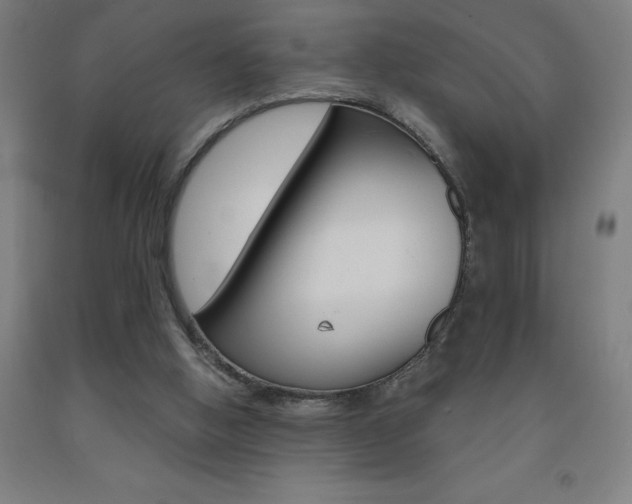 X0000093140058200709261107