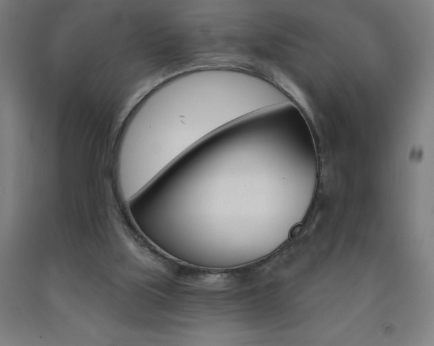 X0000093140059200709261107