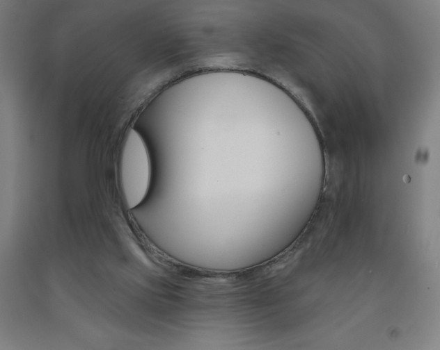 X0000093140061200709261107