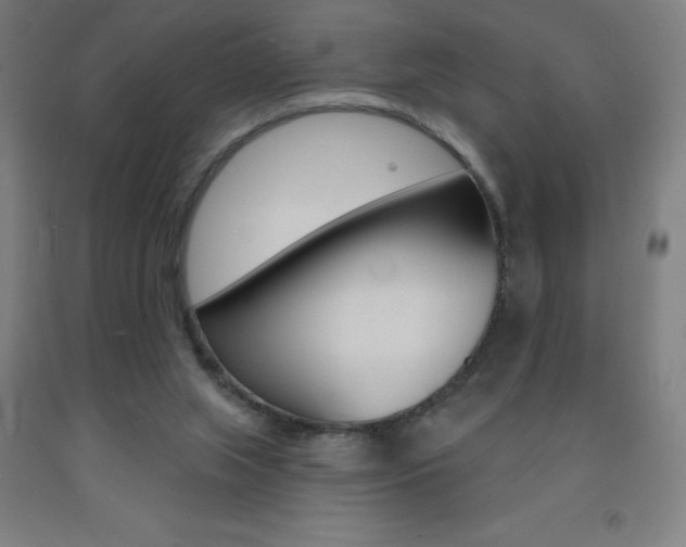 X0000093140063200709261107