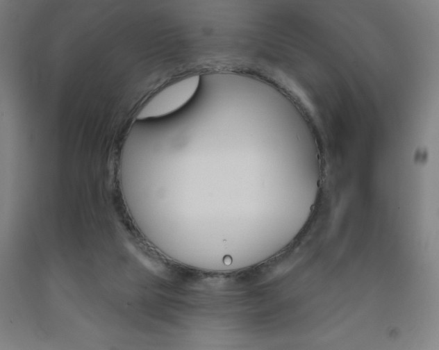 X0000093140065200709261107