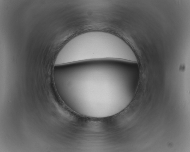X0000093140066200709261107