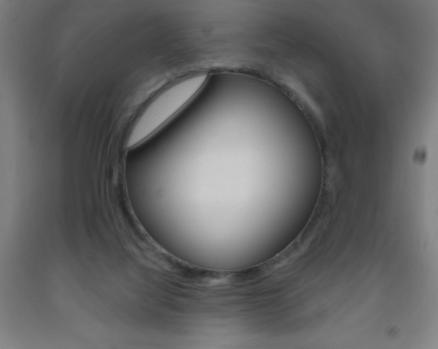 X0000093140068200709261107