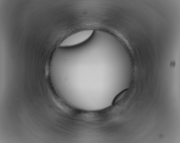 X0000093140069200709261107