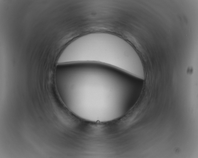 X0000093140071200709261107