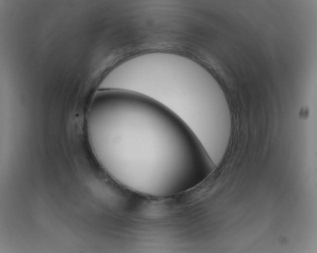 X0000093140072200709261107