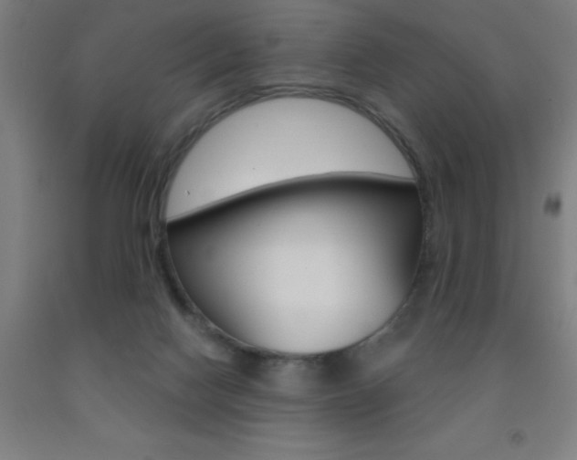 X0000093140074200709261107