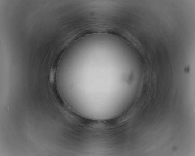 X0000093140075200709261107