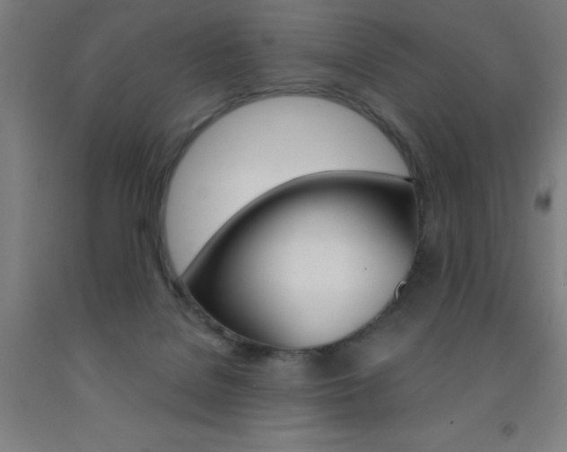 X0000093140076200709261107