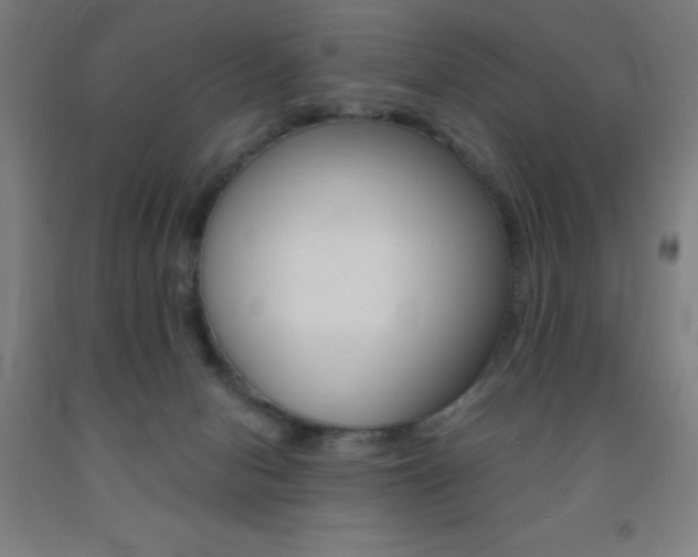 X0000093140078200709261107