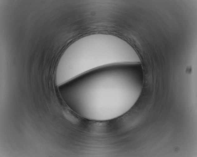 X0000093140081200709261107