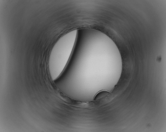 X0000093140083200709261107
