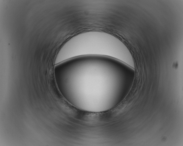 X0000093140084200709261107