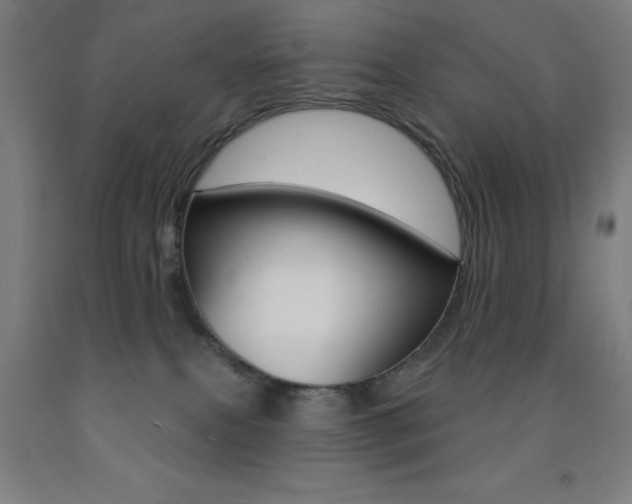 X0000093140087200709261107