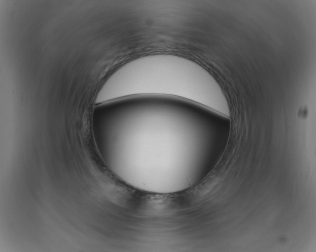 X0000093140088200709261107