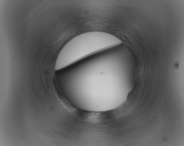 X0000093140090200709261107