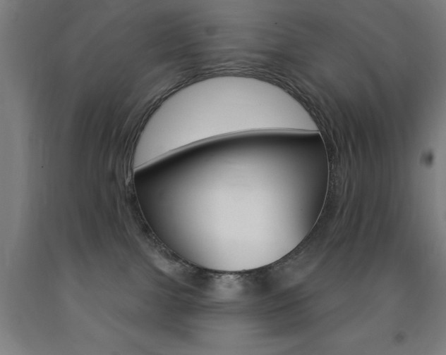 X0000093140091200709261107