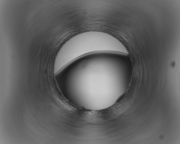 X0000093140092200709261107