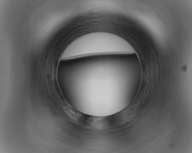 X0000093140093200709261107