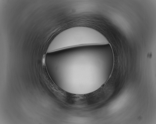 X0000093140095200709261107