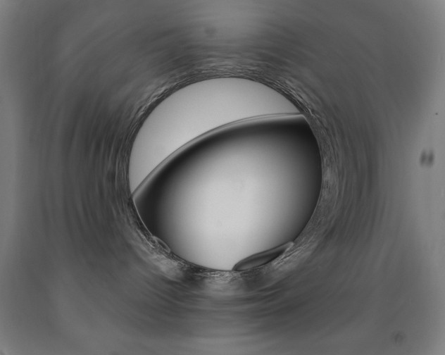 X0000093140096200709261107