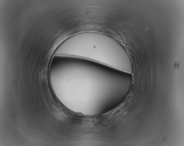 X0000093140099200709261107