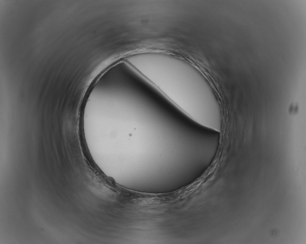 X0000093140100200709261107