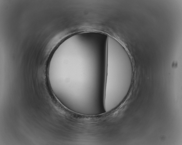 X0000093140103200709261107