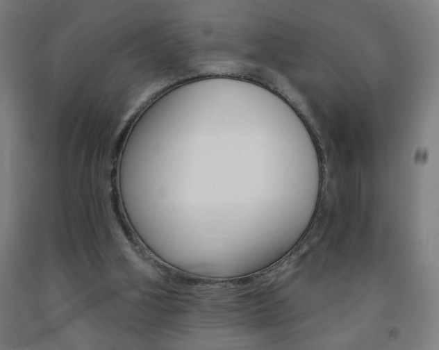 X0000093140106200709261107