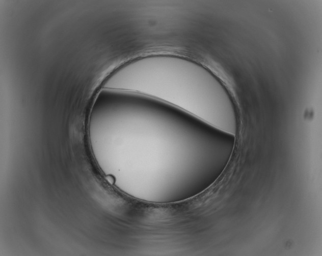 X0000093140107200709261107