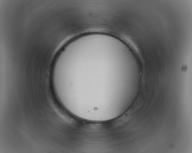 X0000093140108200709261107
