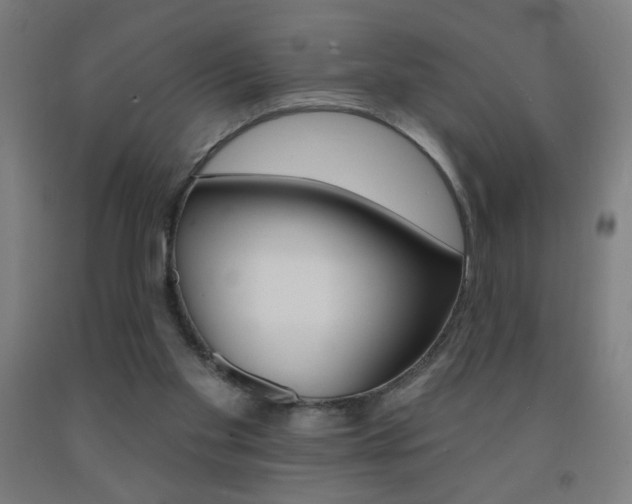 X0000093140109200709261107