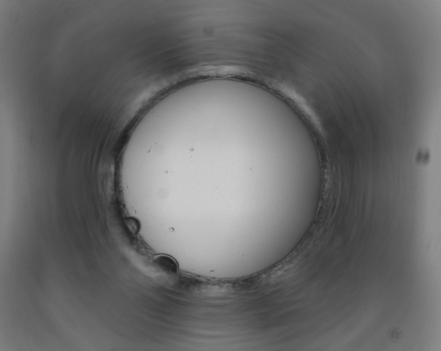 X0000093140110200709261107