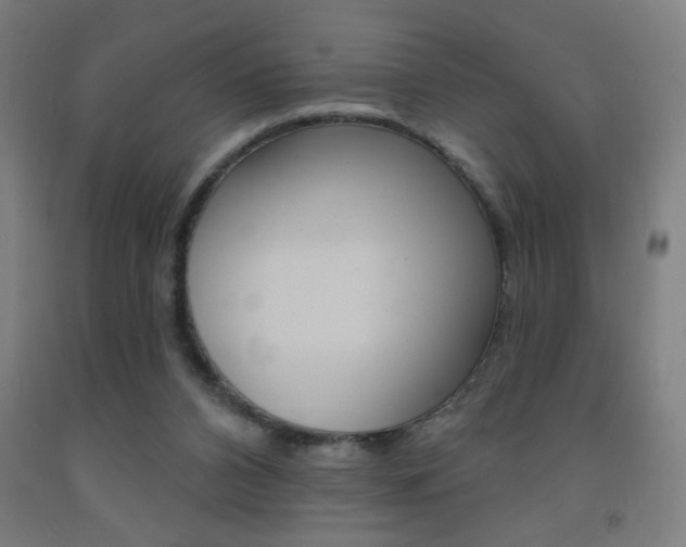 X0000093140112200709261107