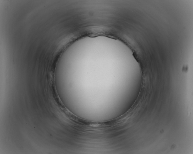 X0000093140117200709261107