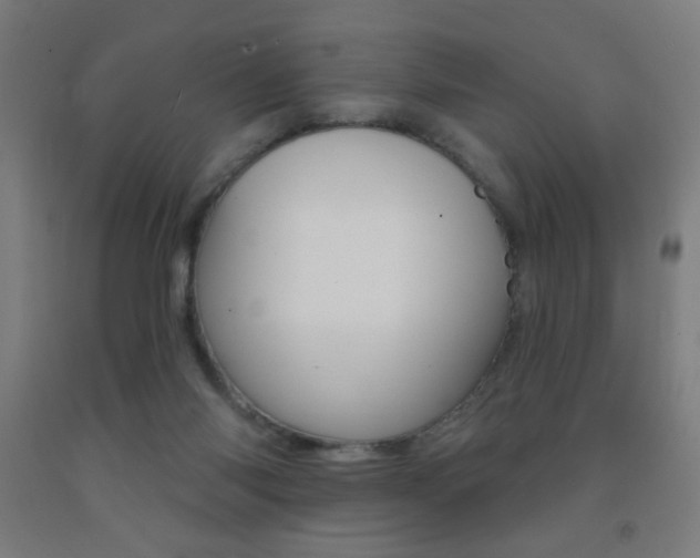 X0000093140118200709261107