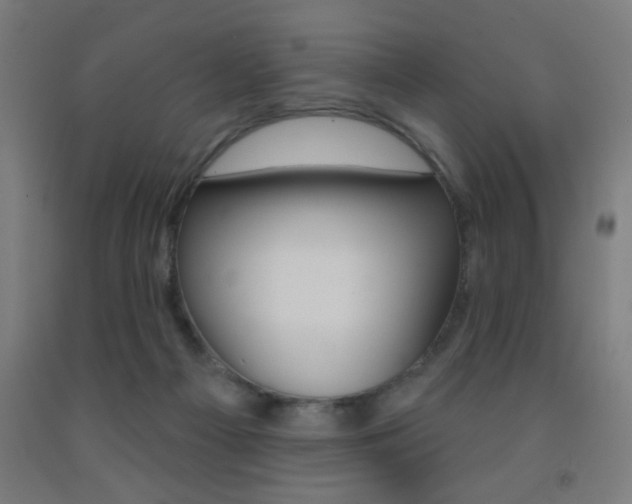 X0000093140121200709261107