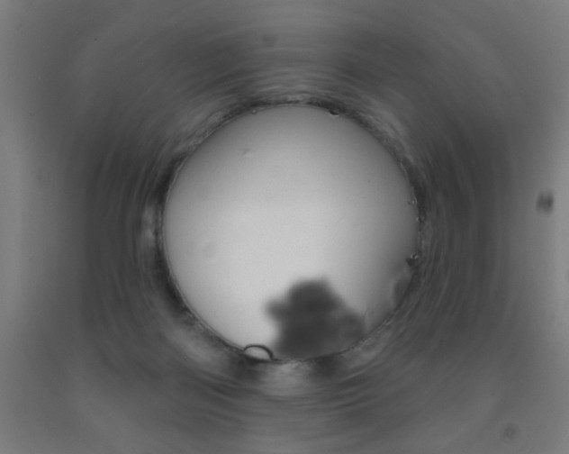X0000093140122200709261107