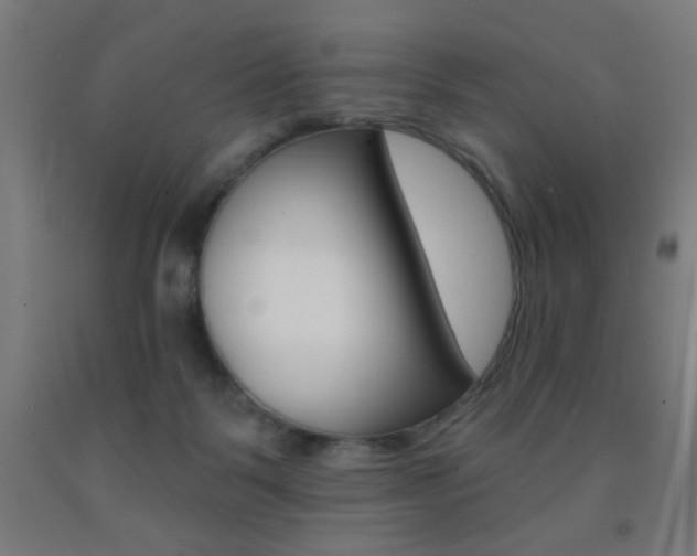 X0000093140123200709261106