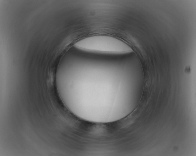 X0000093140124200709261106