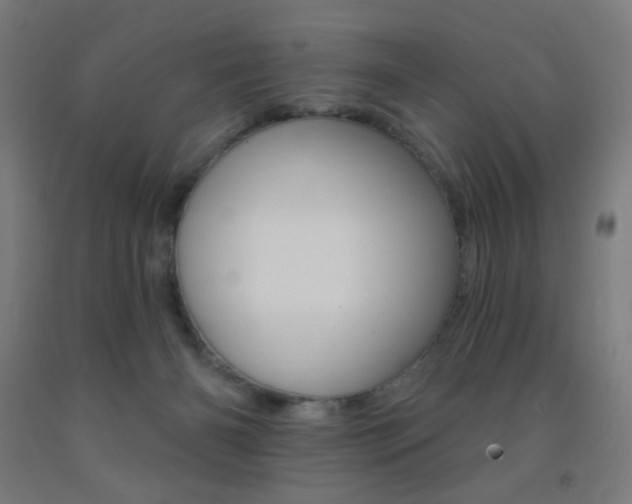 X0000093140126200709261106