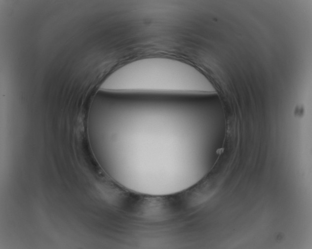 X0000093140127200709261106