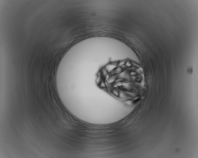 X0000093140129200709261106