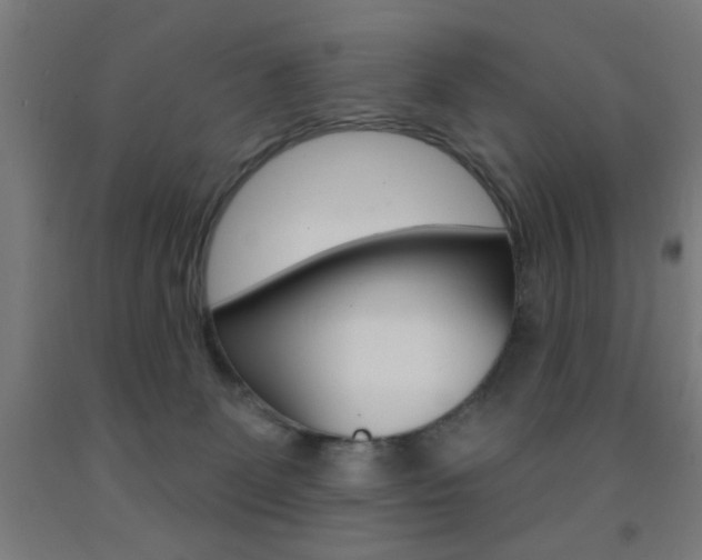 X0000093140131200709261106