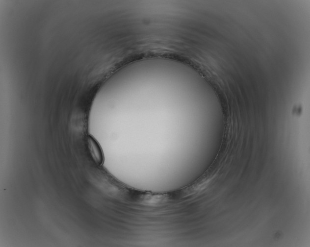 X0000093140135200709261106